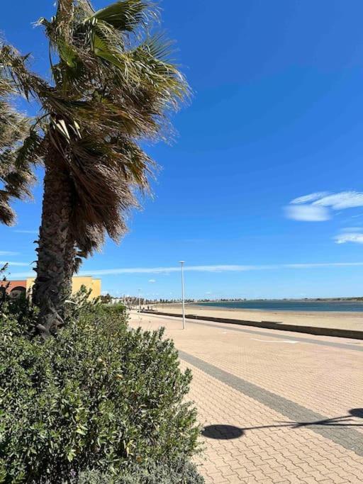 Studio Cosy A Deux Pas De La Plage ! Груиссан Экстерьер фото